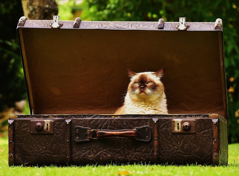 Vintage Suitcase Shelves